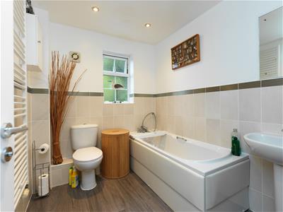 Picture 20